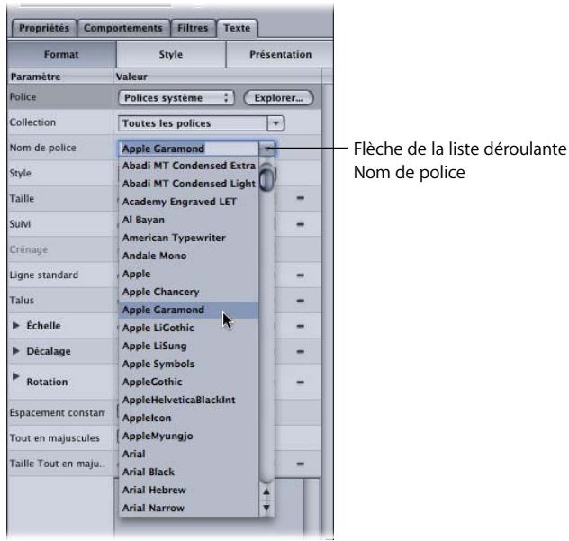 APPLE MOTION 3 - Commandes Format du texte - 2