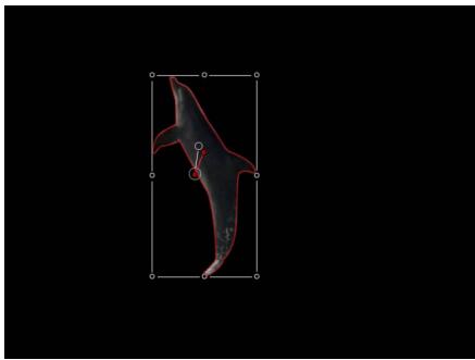 APPLE MOTION 3 - Pour utiliser la rotoscopie sur un sujet en animant un masque : - 2