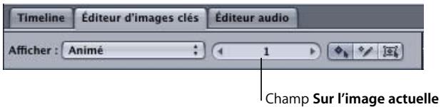 APPLE MOTION 3 - Champ Sur l'image actuelle - 1