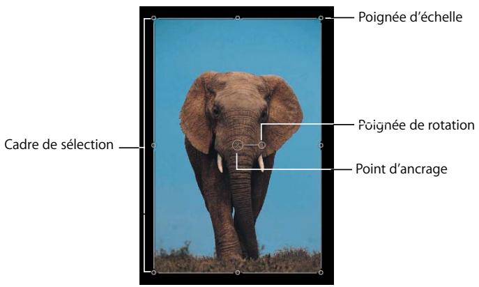 APPLE MOTION 3 - Outils de transformation - 1