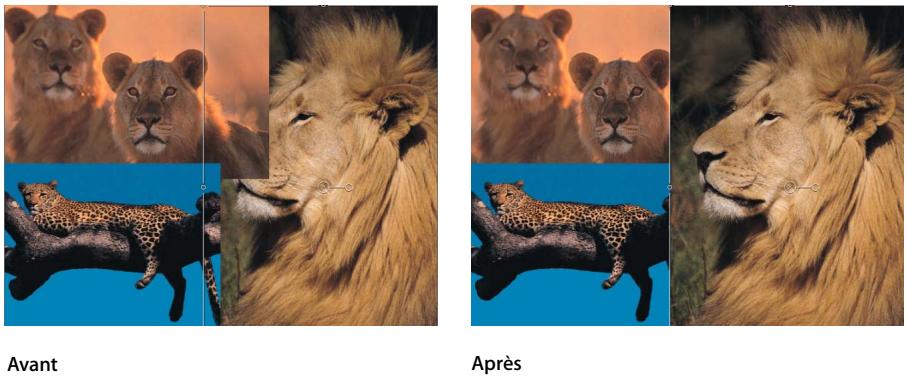 APPLE MOTION 3 - Commandes Disposition du menu Objet - 1