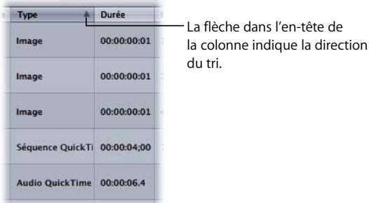 APPLE MOTION 3 - Pour trier une colonne selon le type de fichier dans l'onglet Média : - 2