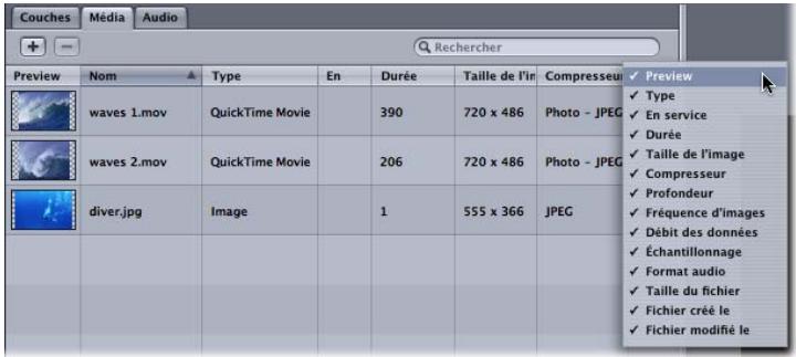 APPLE MOTION 3 - Pour afficher ou masquer une colonne : - 1