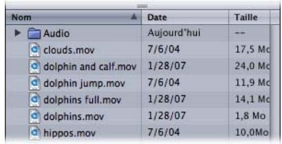 APPLE MOTION 3 - Présentation par icônes et par liste - 2