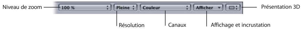 APPLE MOTION 3 - Options de présentation du Canevas - 1