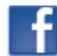 ALCATEL ONE TOUCH 602/602D - Facebook - 1