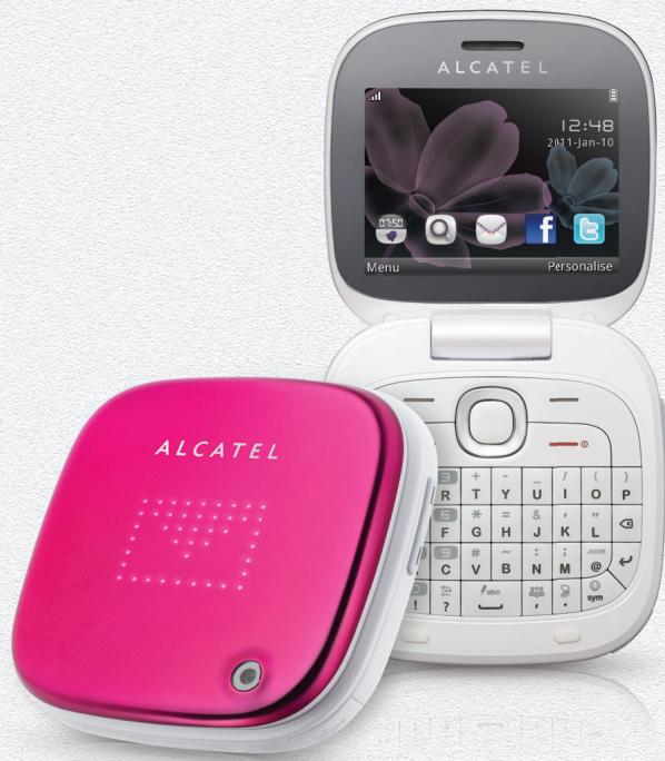 ALCATEL ONE TOUCH 810/810D - 1