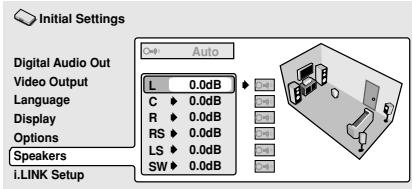 PIONEER DV-757AI - Channel Level - 5