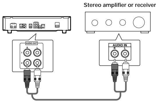 PIONEER DVD-V550 - AUDIO OUT - 1
