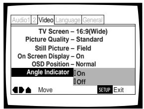 PIONEER DVD-V550 - Turning the angle indicator on and off Expert - 1