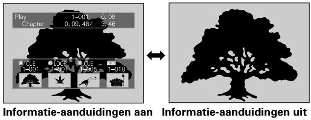 PIONEER DVJ-X1 - Weergave van de informatie-aanduidingen - 1