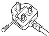PIONEER DVR-550HX-S - IMPORTANT: THE MOULDED PLUG - 1