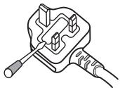 PIONEER DVR-560HX-S - IMPORTANT: THE MOULDED PLUG - 1