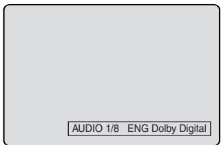 PIONEER DVR-RT501-S - Changing soundtrack language - 1
