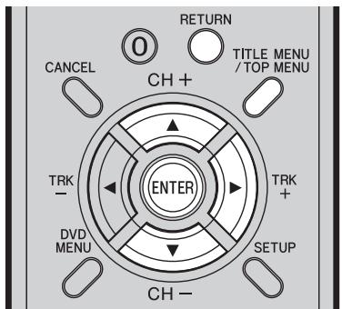PIONEER DVR-RT501-S - (Disc playback - 1