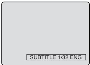 PIONEER DVR-RT501-S - Turning the subtitles On and Off - 1