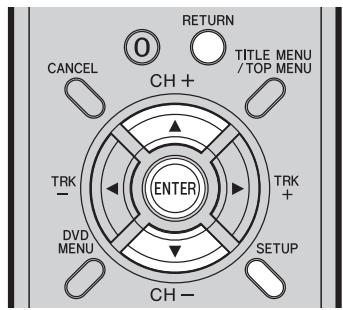 PIONEER DVR-RT501-S - Using the SETUP MENU - 1