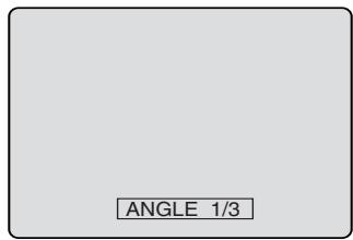 PIONEER DVR-RT501-S - Changing angles - 1