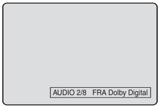 PIONEER DVR-RT501-S - Changing soundtrack language - 2