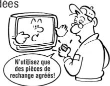 TOSHIBA 19A24 - Avertissement: RISQUE de CHOC - 2