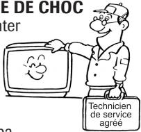 TOSHIBA 19A24 - Avertissement: RISQUE de CHOC - 1