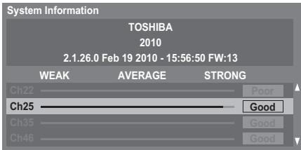 TOSHIBA RV-743 - System Information - 1