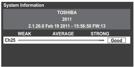 TOSHIBA VL863 - System Information - 1
