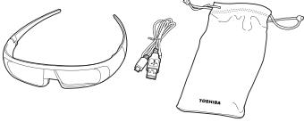 TOSHIBA ZL1 - Supplied Accessories - 8