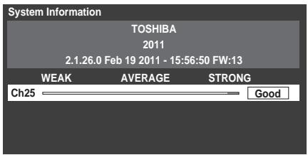 TOSHIBA ZL1 - System Information - 1