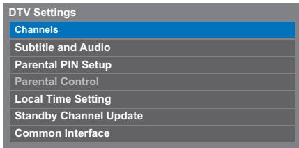DTV Settings Channels Subtitle and Audio Parental PIN Setup Parental Control Local Time Setting Standby Channel Update Common Interface