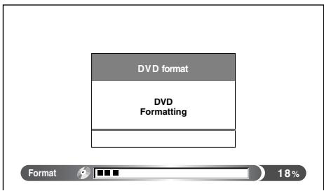 DVD format DVD Formatting Format 18%