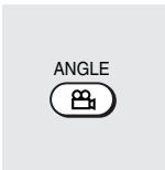 TOSHIBA RD-XS34 - Press ANGLE while playing a scene recorded with multiple angles. - 1