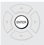 TOSHIBA RD-XS34 - Press ENTER. - 1
