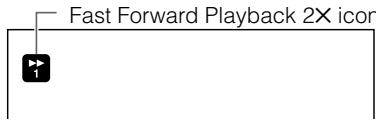 Fast Forward Playback 2X icon