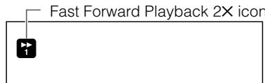 Fast Forward Playback 2X icon
