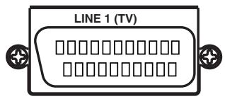 SHARP DV-NC65S - OTHER POSSIBLE CONNECTIONS - 2