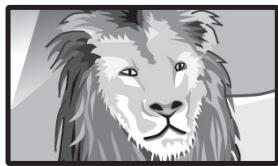 SHARP LC-60LE635E - WSS signal 4:3 screen - 2