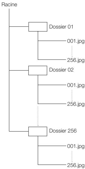 SHARP BD-HP22S - Structure des dossiers contenant des images fixes (JPEG) - 1