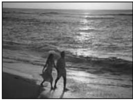 FUJIFILM A340 - ◆ Red-eye effect ◆ - 2