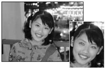 FUJIFILM A340 - Auto Flash Mode (no icon) - 1