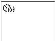 FUJIFILM FINEPIX REAL 3D W1 - Start the timer. - 2