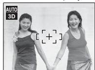 FUJIFILM FINEPIX REAL 3D W1 - Shooting Information - 1