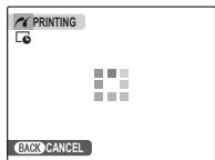 FUJIFILM FINEPIX REAL 3D W1 - During Printing - 1
