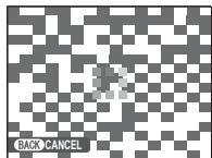 FUJIFILM FINEPIX REAL 3D W1 - ALL FRAMES: Deleting All Images - 3