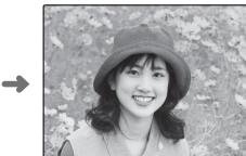 FUJIFILM FINEPIX REAL 3D W1 - Choosing a Display Format - 3