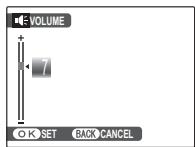 FUJIFILM FINEPIX REAL 3D W1 - PLAYBACK VOLUME - 1