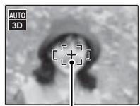 FUJIFILM FINEPIX REAL 3D W1 - Focus. - 1