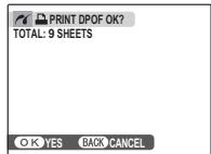 FUJIFILM FINEPIX REAL 3D W1 - Printing the DPOF Print Order - 5