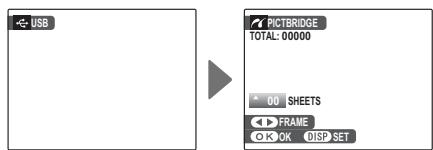 FUJIFILM FINEPIX REAL 3D W1 - Connecting the Camera - 2