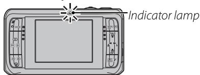 FUJIFILM FINEPIX REAL 3D W1 - The Indicator Lamp - 1